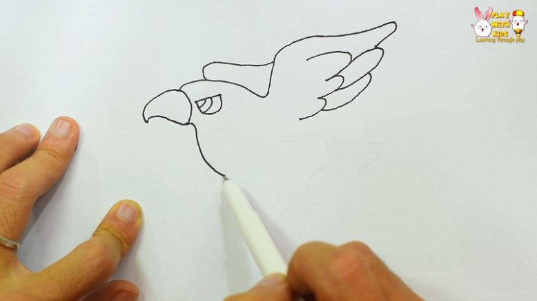 Eagle (1)