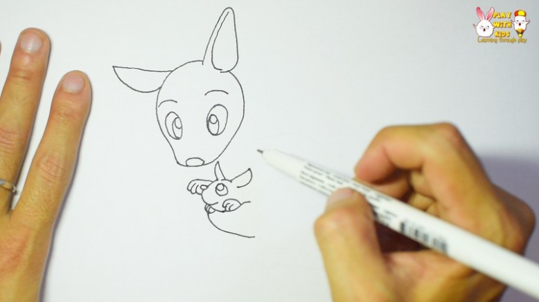 kangaroo 1