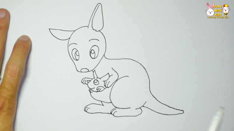 kangaroo 2