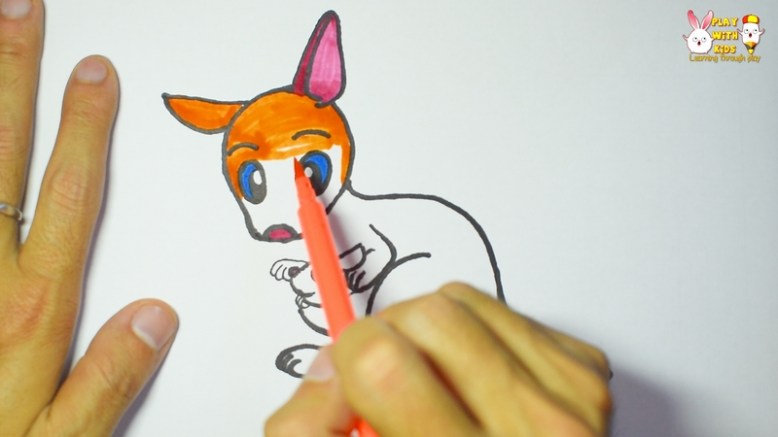 kangaroo 3