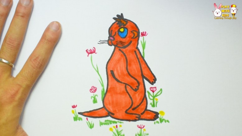 Otter (4)