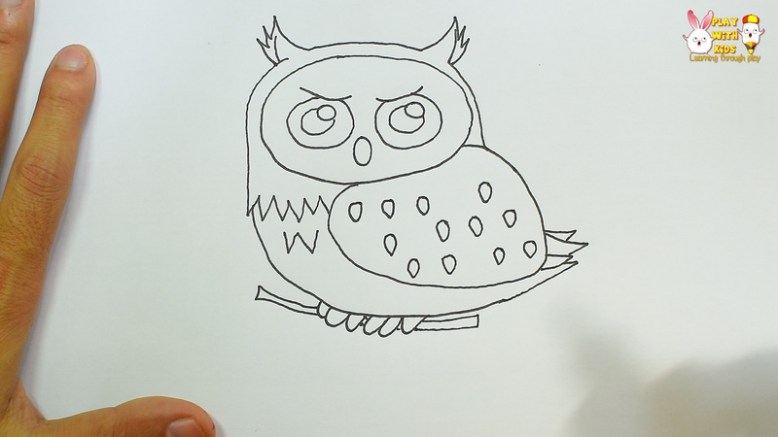 Owl (2)