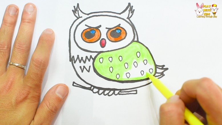 Owl (3)