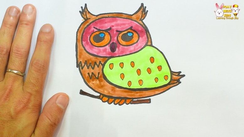 Owl (4)