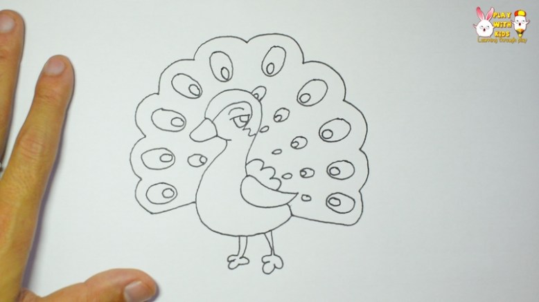 Peacock (2)