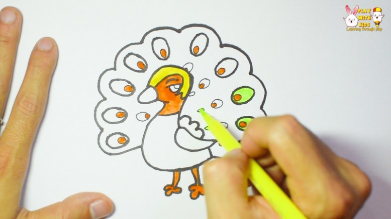 Peacock (3)