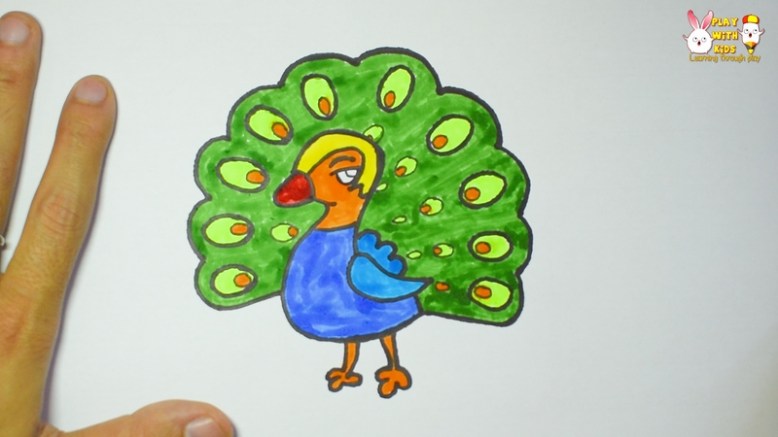 Peacock (4)