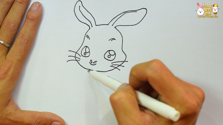 Rabbit (1)
