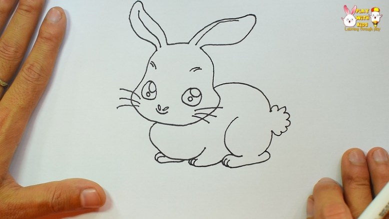 Rabbit (2)