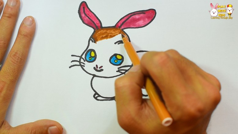 Rabbit (3)