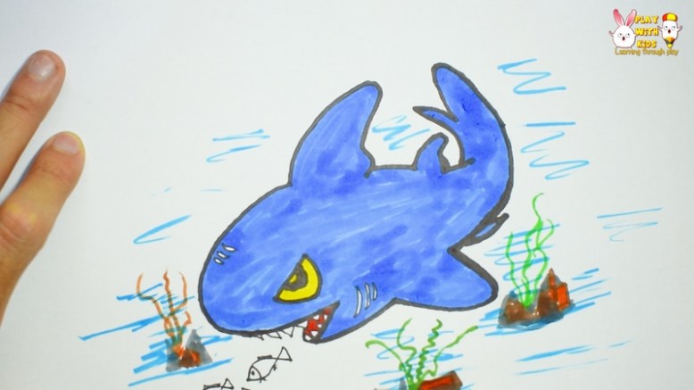 Shark (4)