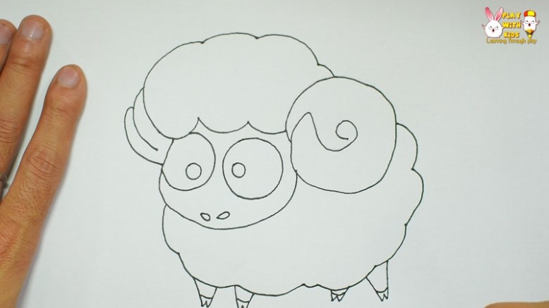 Sheep (2)