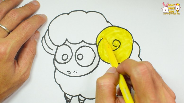 Sheep (3)