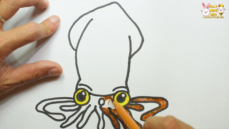Squid, Swallow (3)